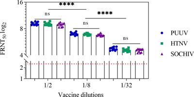 Pre-Clinical Studies of Inactivated Polyvalent HFRS Vaccine